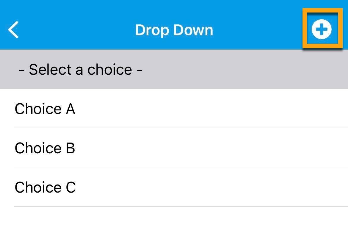 iOS_Drop Down Field.jpg