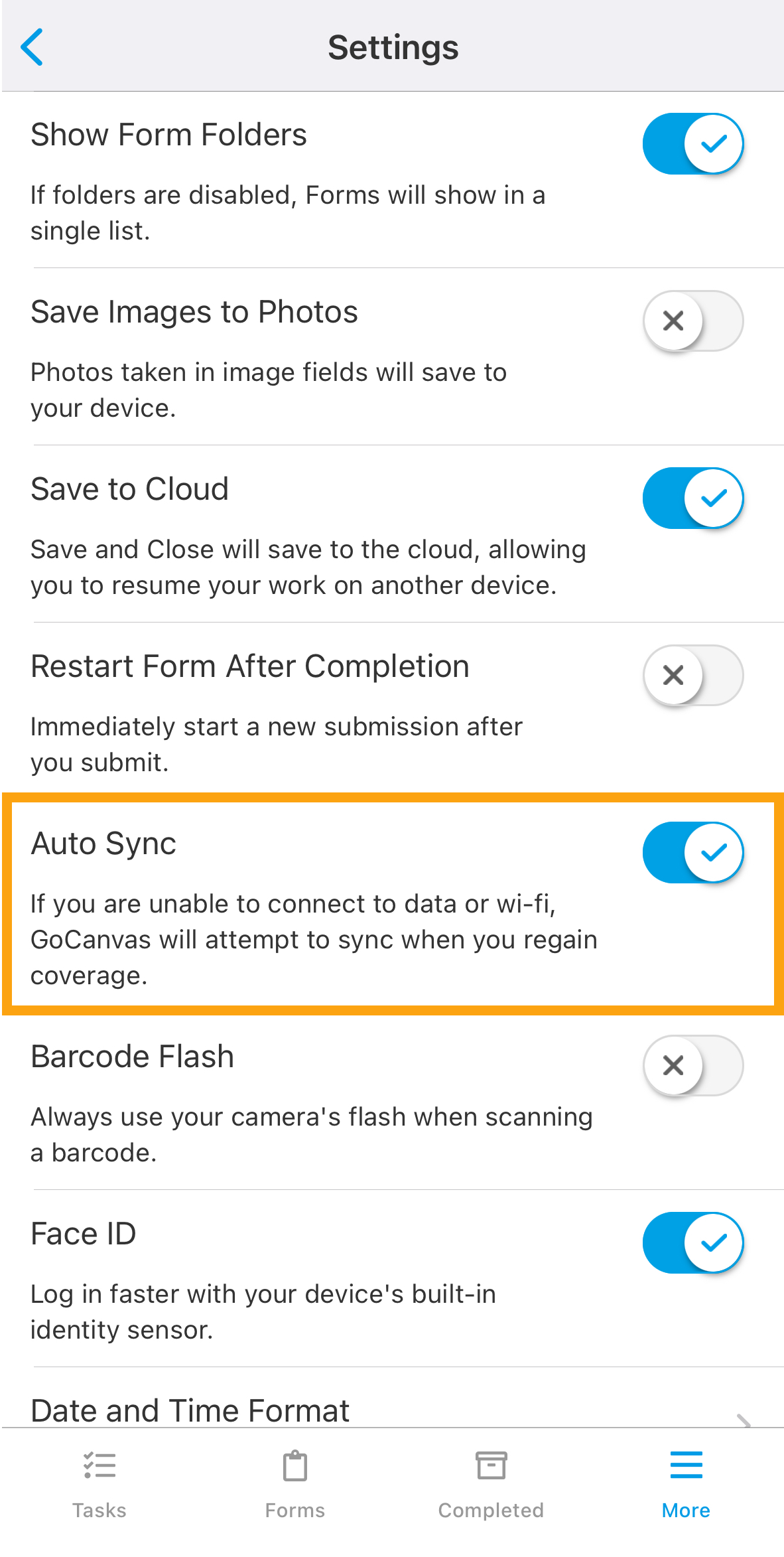 iOS_More_Settings_Auto Sync.png