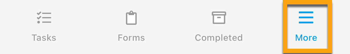 iOS_More Menu.png