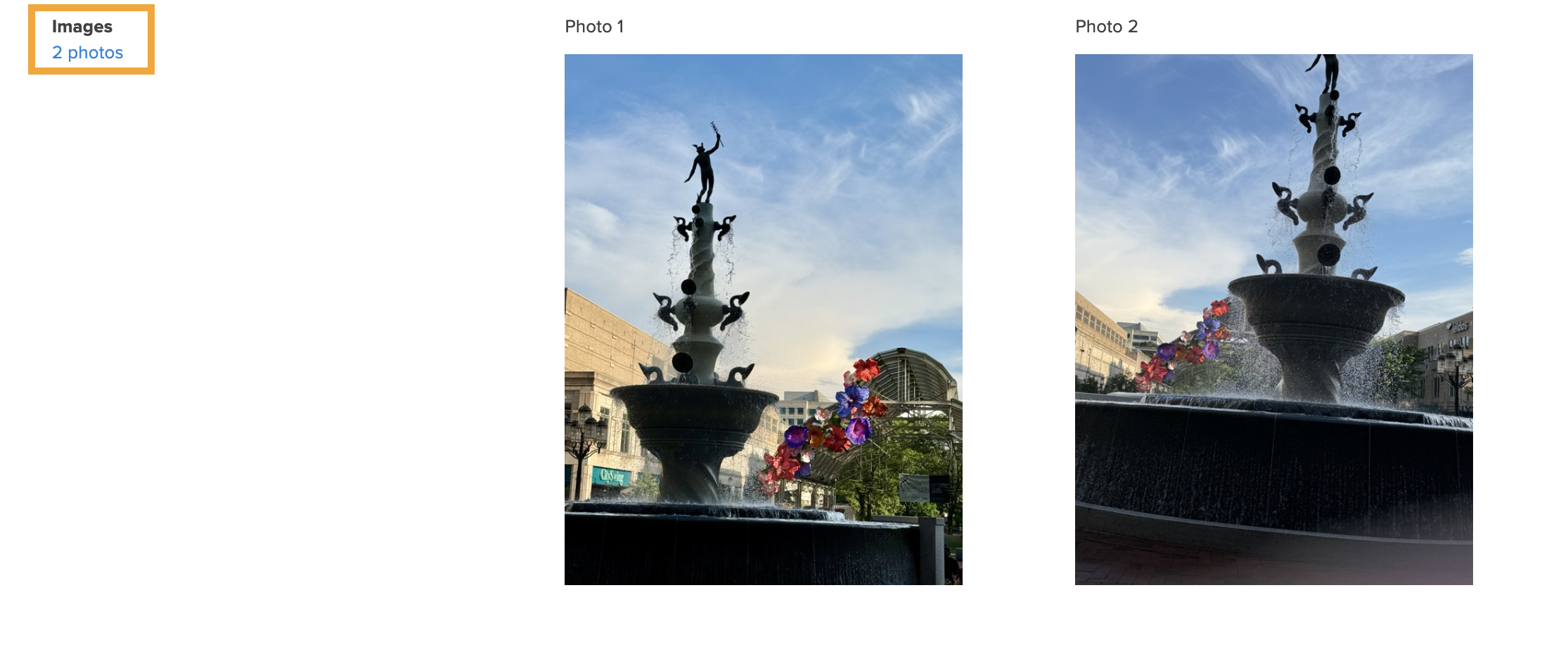 Submissions_Multi-Photo Field.png