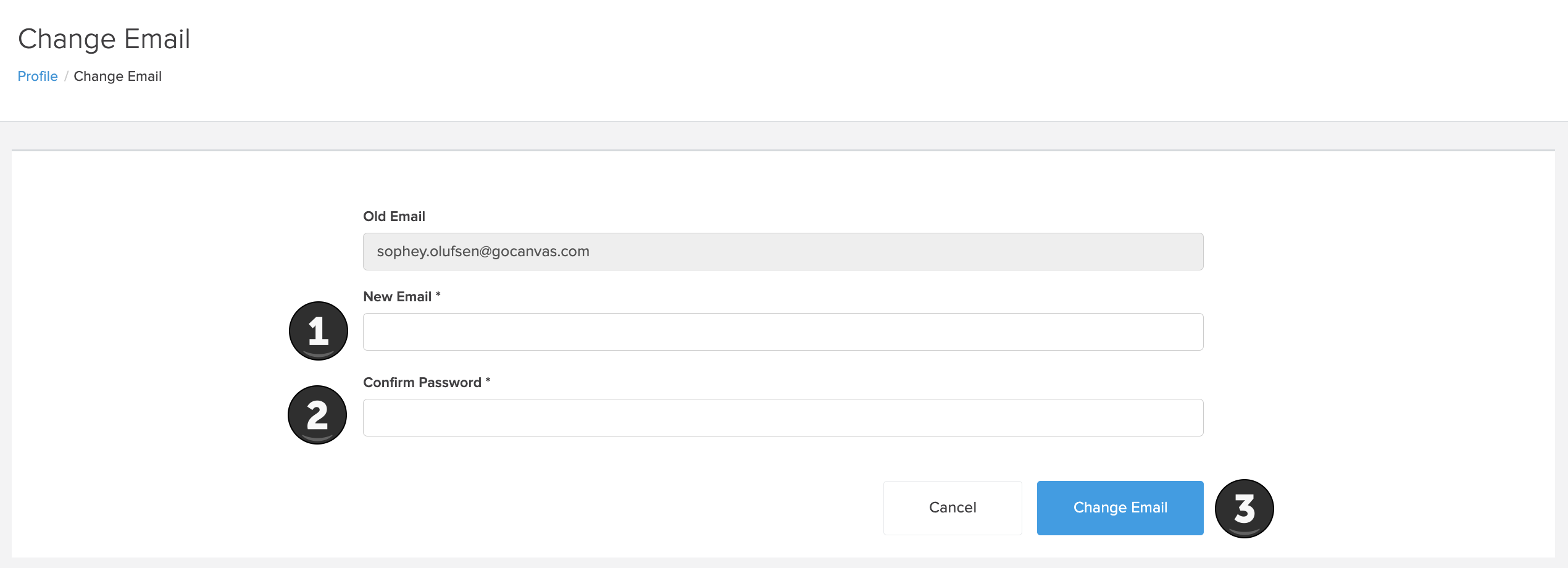 Profile_Change Email_Form.png